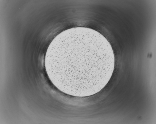 X0000113940028200911061251