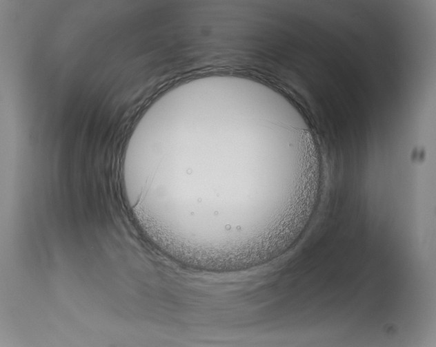 X0000113940029200911061251