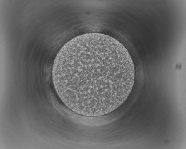 X0000113940030200911061251