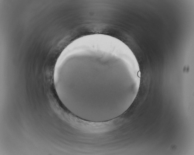 X0000113940031200911061251