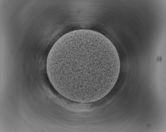 X0000113940032200911061251