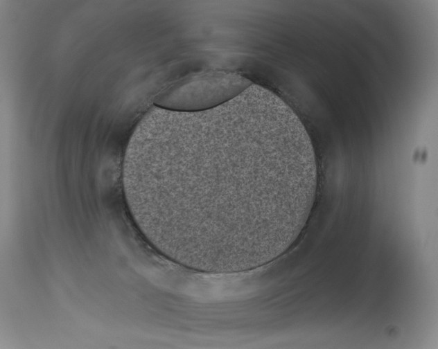 X0000113940033200911061251