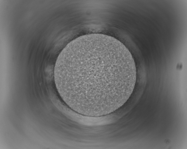 X0000113940034200911061251