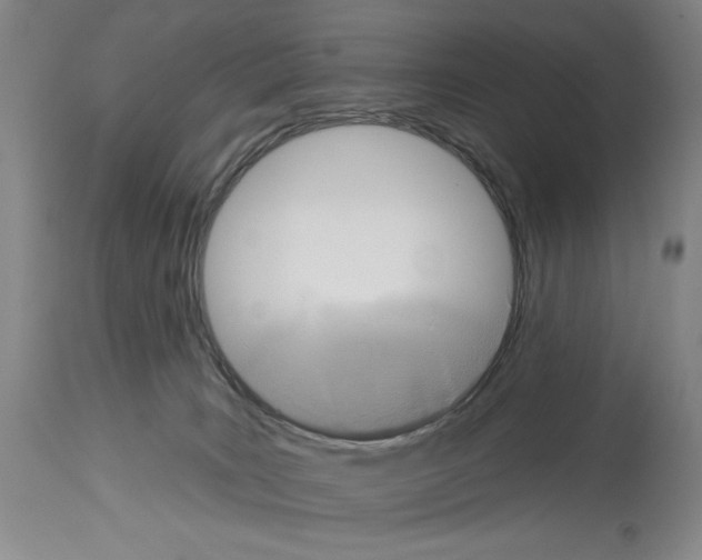 X0000113940035200911061251