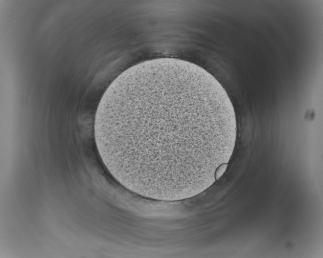 X0000113940036200911061251