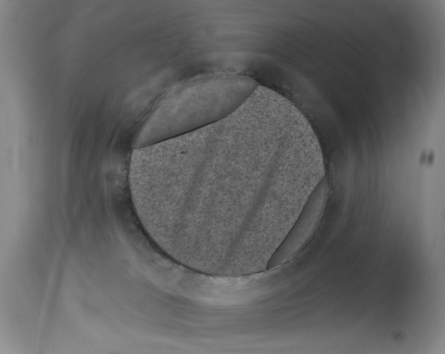 X0000113940037200911061251