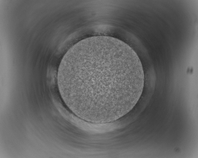 X0000113940038200911061251