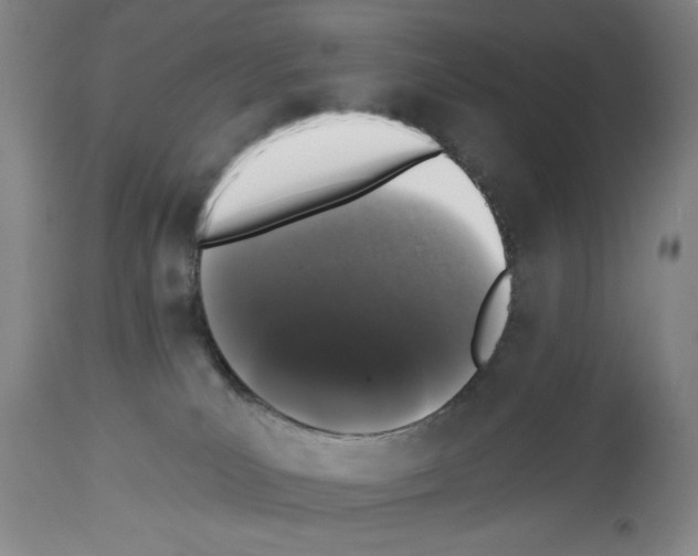 X0000113940039200911061251