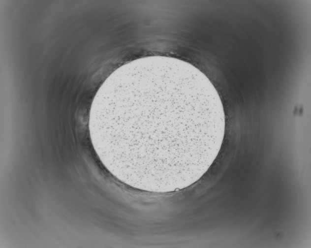 X0000113940040200911061251