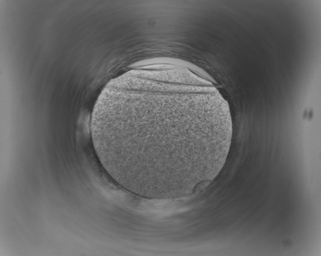 X0000113940041200911061251