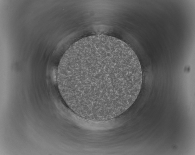 X0000113940042200911061251