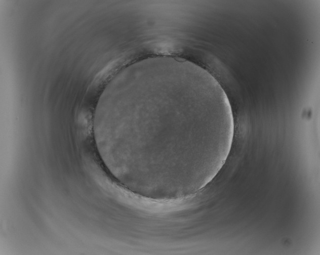X0000113940043200911061251