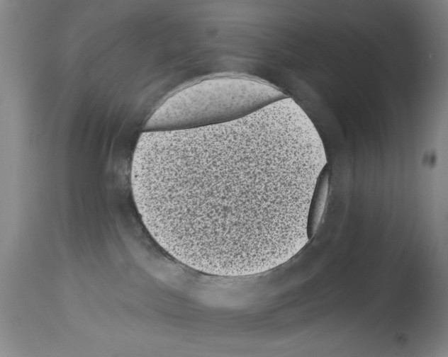X0000113940045200911061251