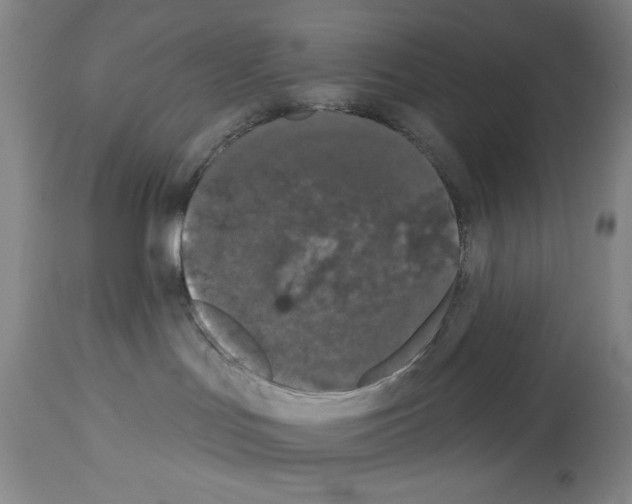 X0000113940047200911061251