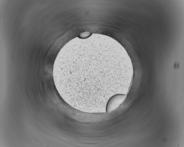 X0000113940048200911061251