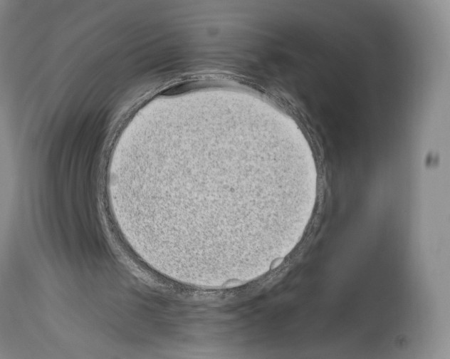 X0000113940049200911061250