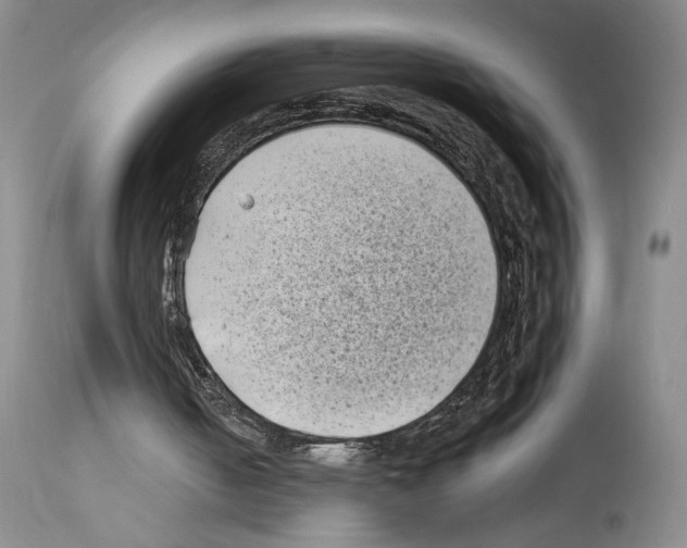 X0000113940050200911061250
