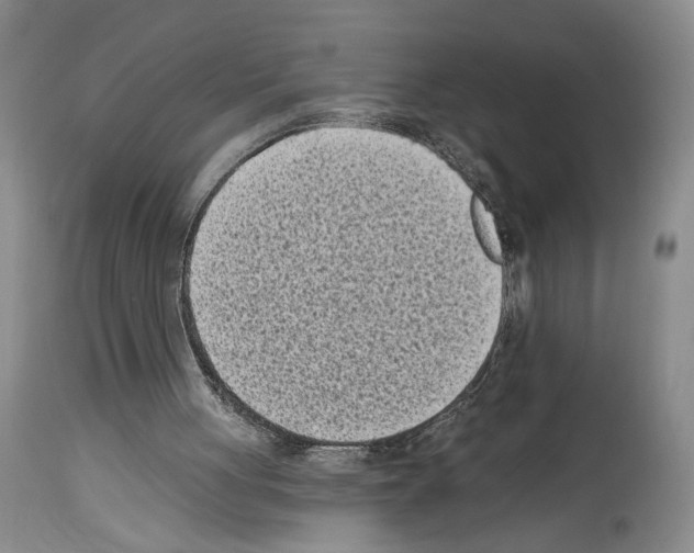 X0000113940051200911061250