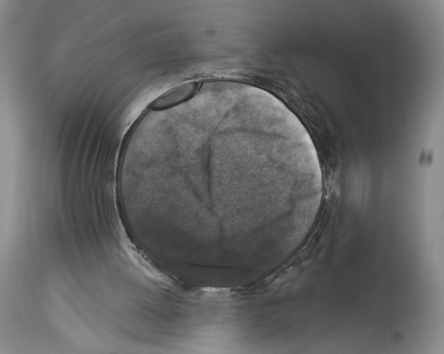 X0000113940052200911061250