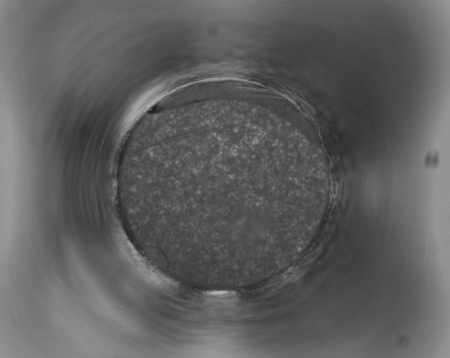 X0000113940053200911061250