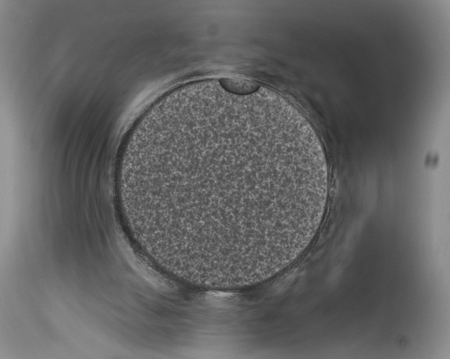 X0000113940055200911061250