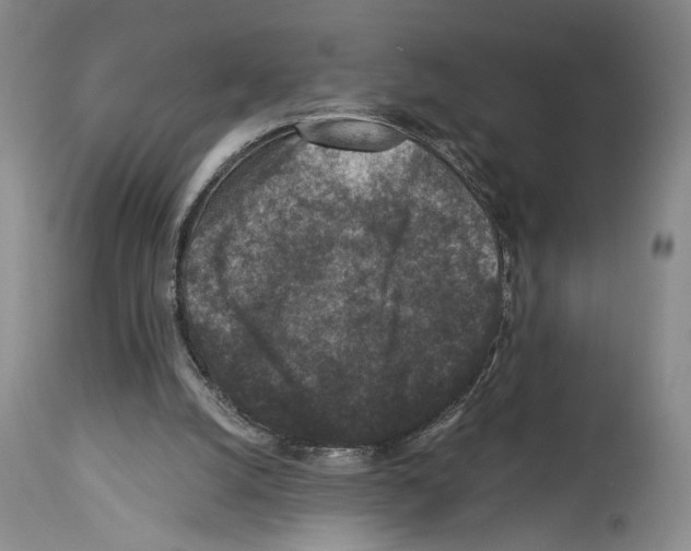X0000113940056200911061250
