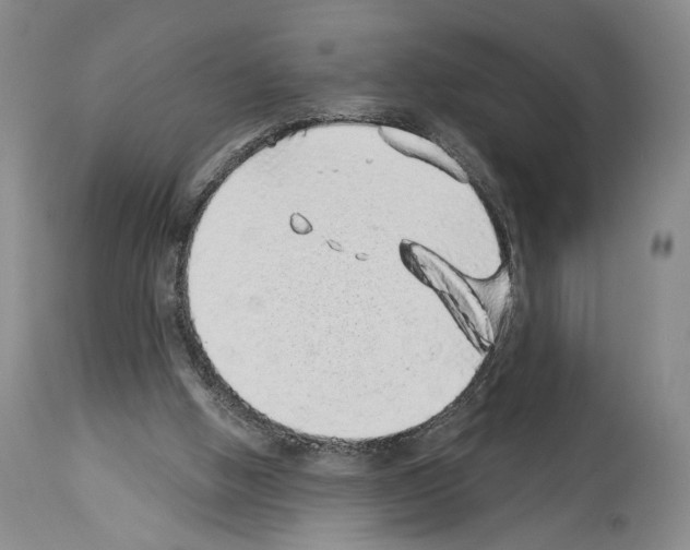 X0000113940058200911061250