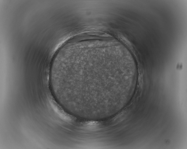 X0000113940059200911061250