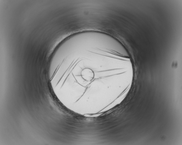 X0000113940060200911061250