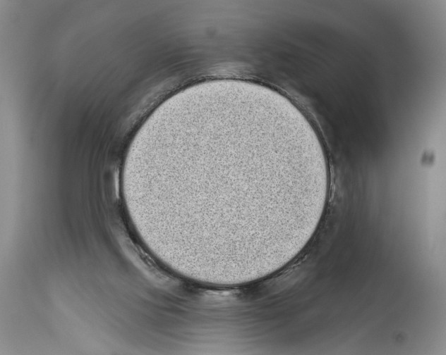 X0000113940061200911061250