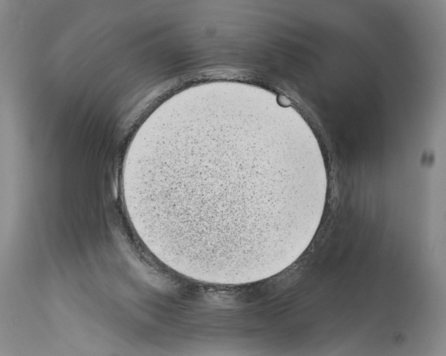 X0000113940062200911061250