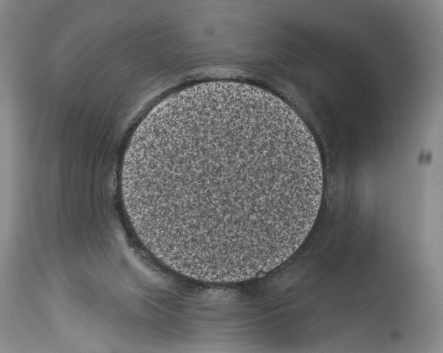 X0000113940063200911061250