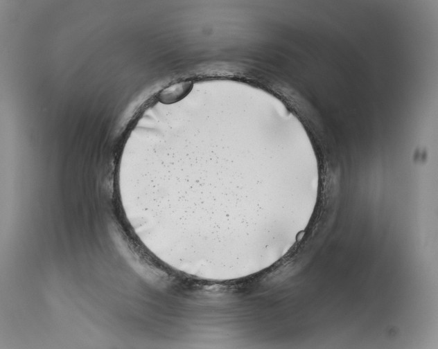 X0000113940064200911061250
