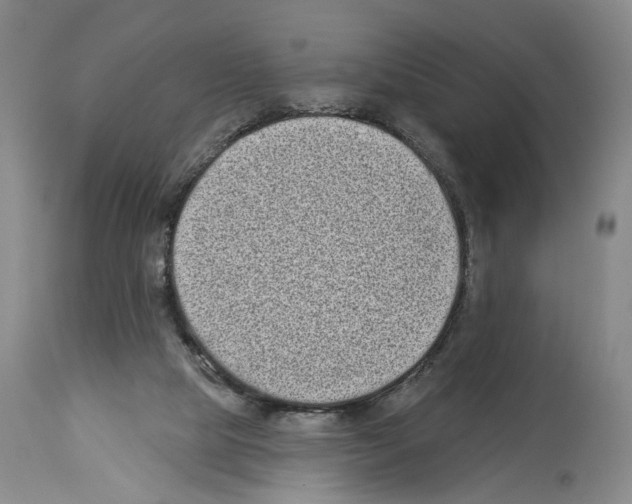 X0000113940065200911061250