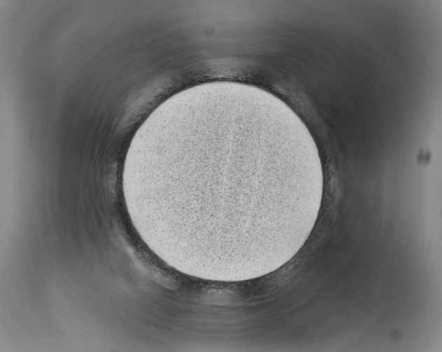 X0000113940066200911061250