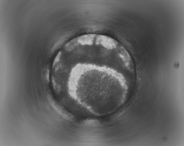 X0000113940067200911061251