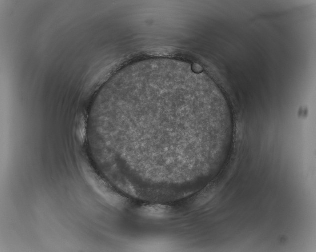 X0000113940069200911061251