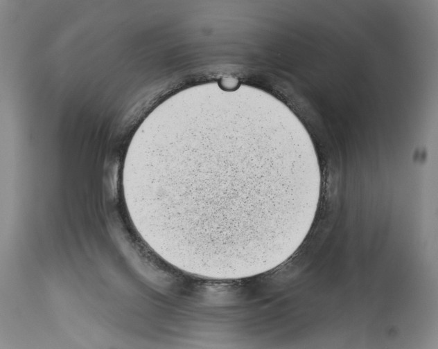 X0000113940070200911061251