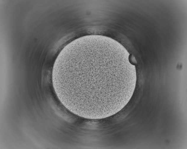 X0000113940071200911061251