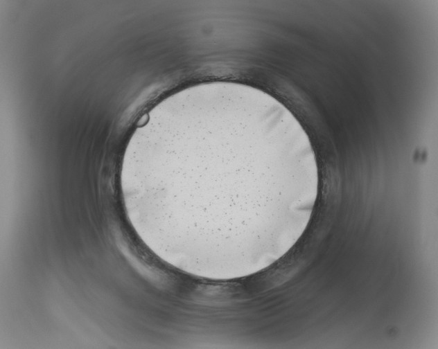 X0000113940072200911061251