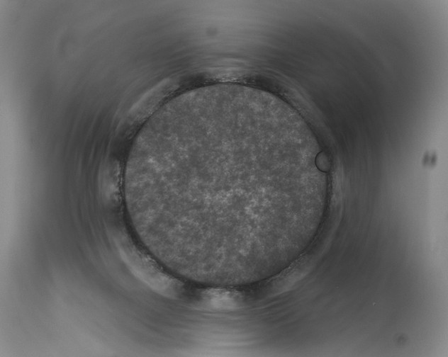 X0000113940073200911061251