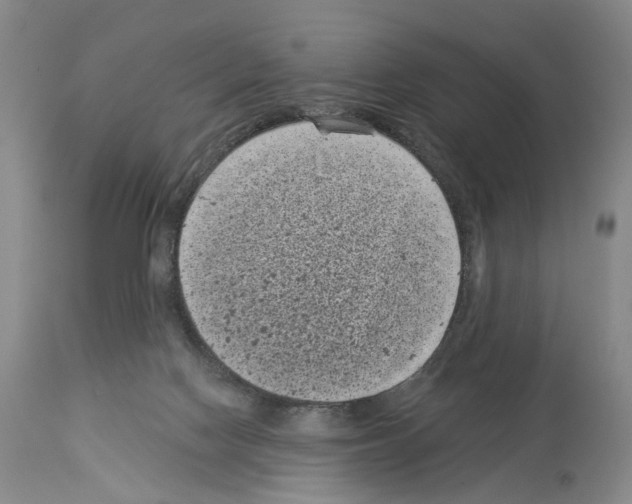 X0000113940074200911061251
