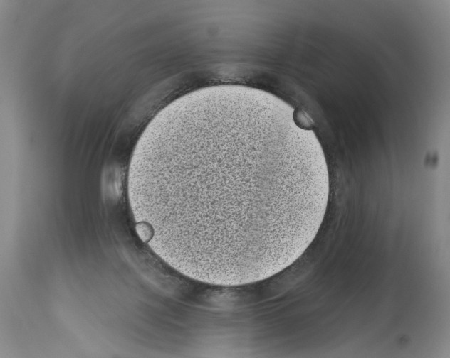 X0000113940075200911061251
