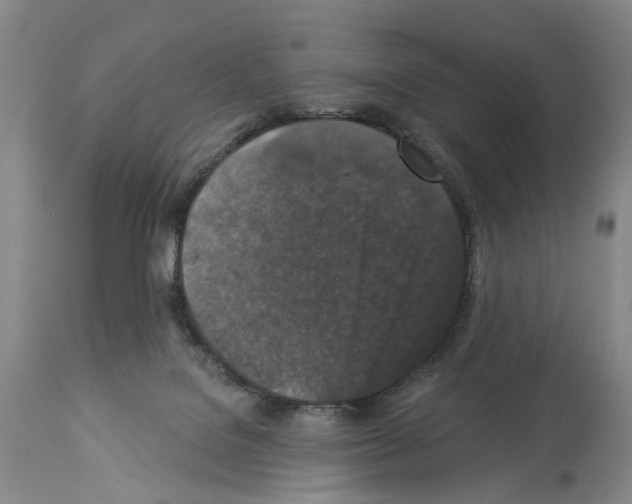 X0000113940076200911061251