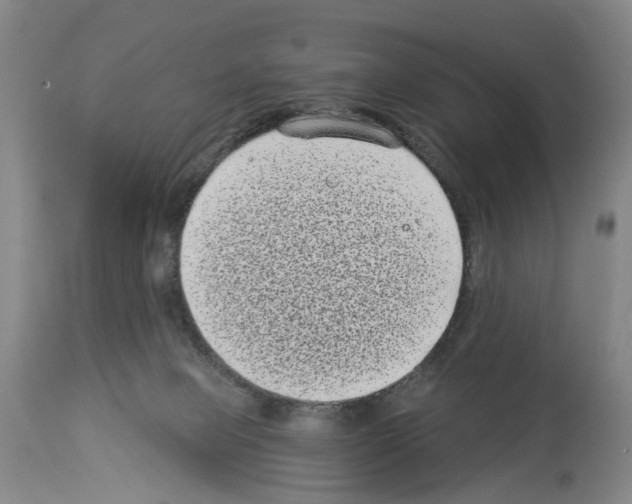 X0000113940077200911061251