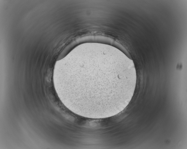 X0000113940078200911061251