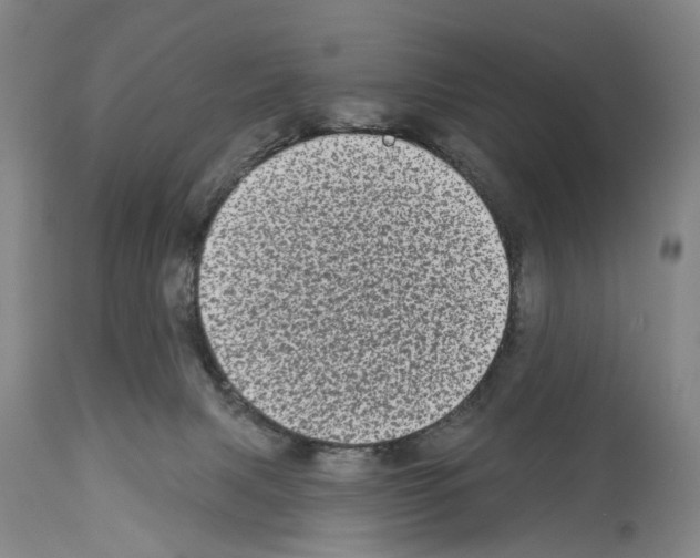 X0000113940079200911061251