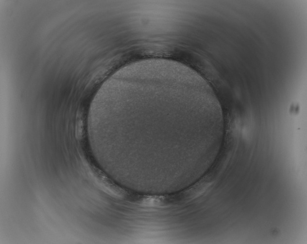 X0000113940080200911061251