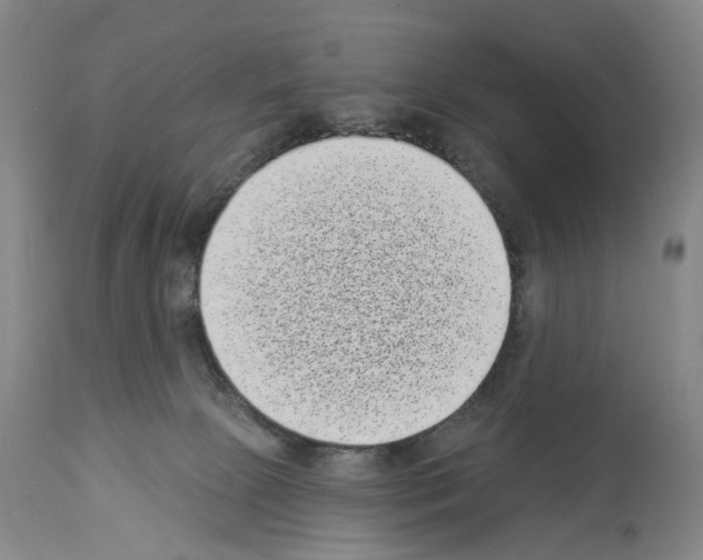 X0000113940081200911061251