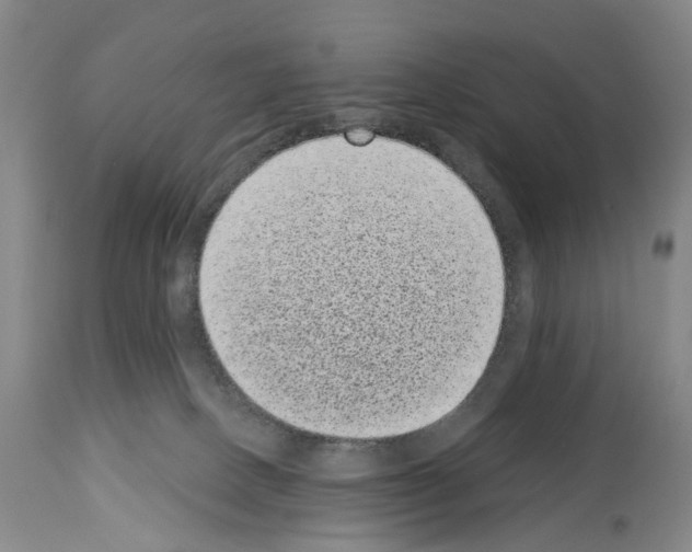 X0000113940082200911061251